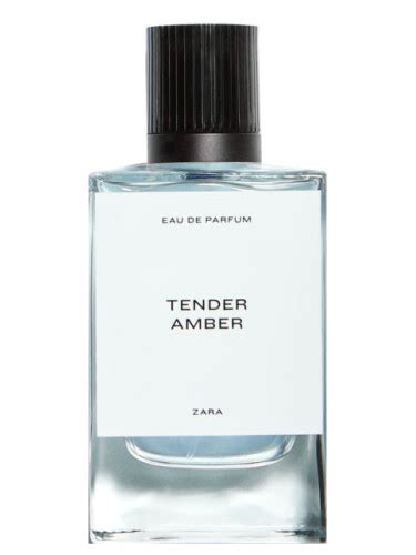 tender amber zara 2023.